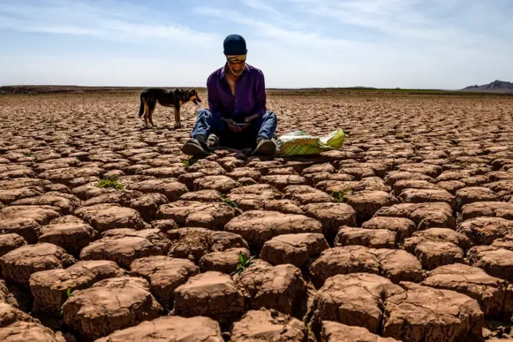 Climate change to wreck global income by 2050, study shows