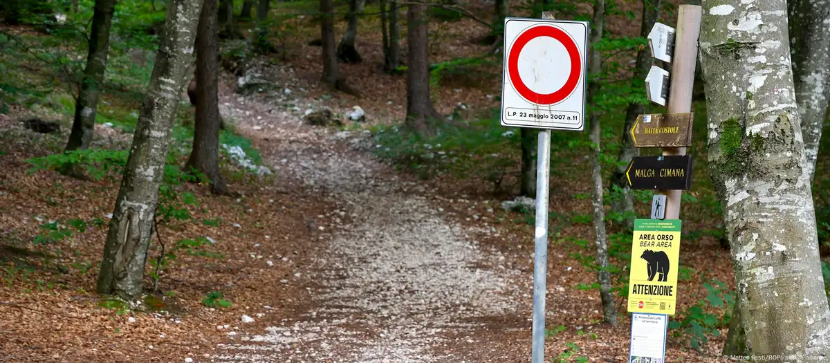 Italy: Bear shot dead after attack on hiker