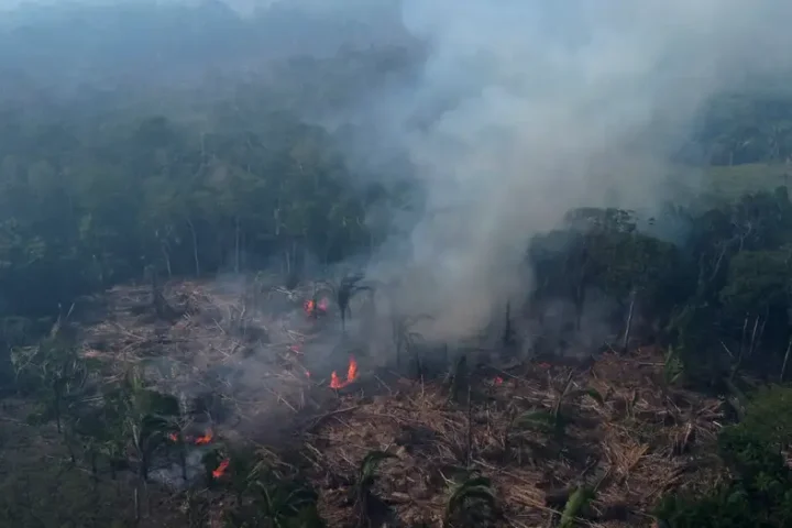 Brazil's Amazon sees worst 6 months of wildfires in 20 years
