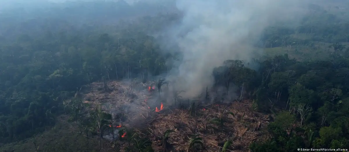 Brazil's Amazon sees worst 6 months of wildfires in 20 years