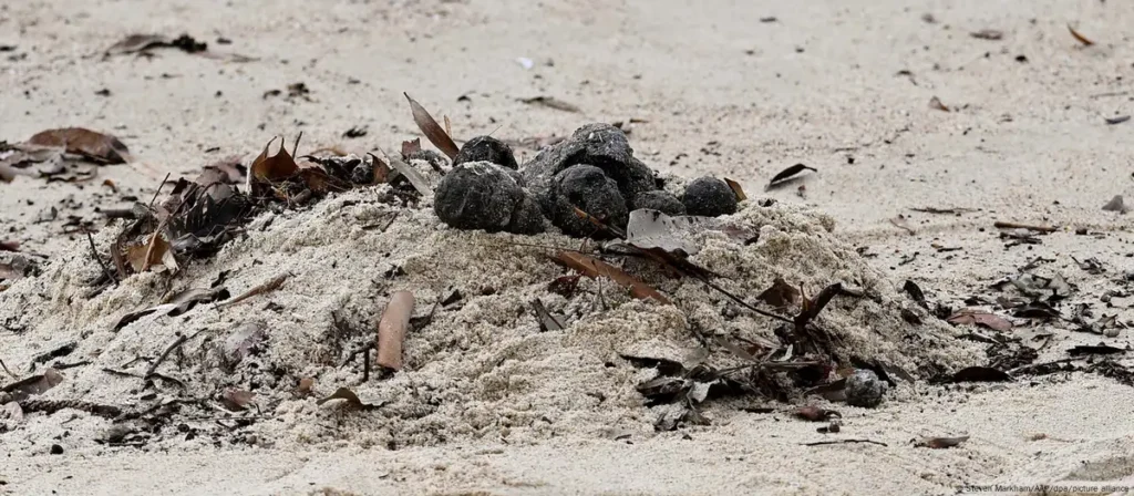 Sydney beaches closed over 'mysterious' black balls