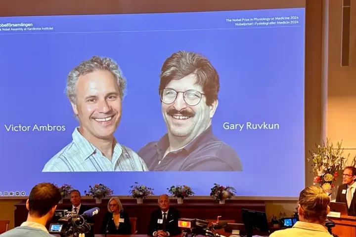 Nobel Prize: Victor Ambros, Gary Ruvkun win medicine award