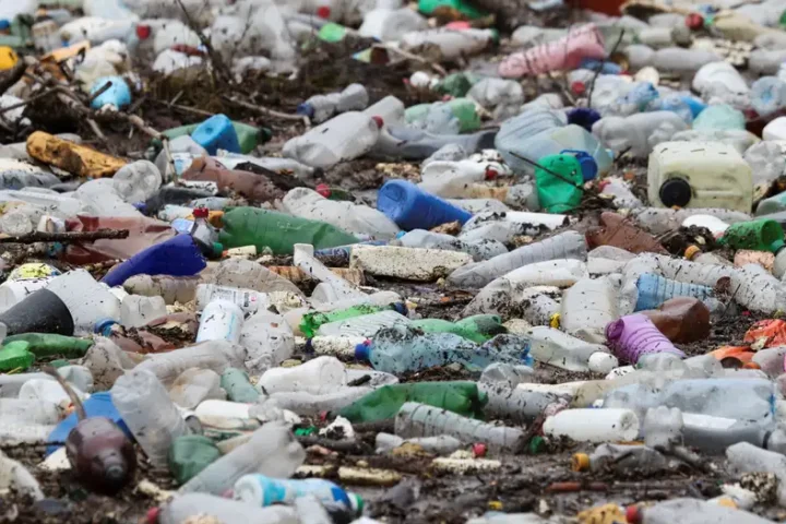 Plastic pollution ban fails, time needed says chair