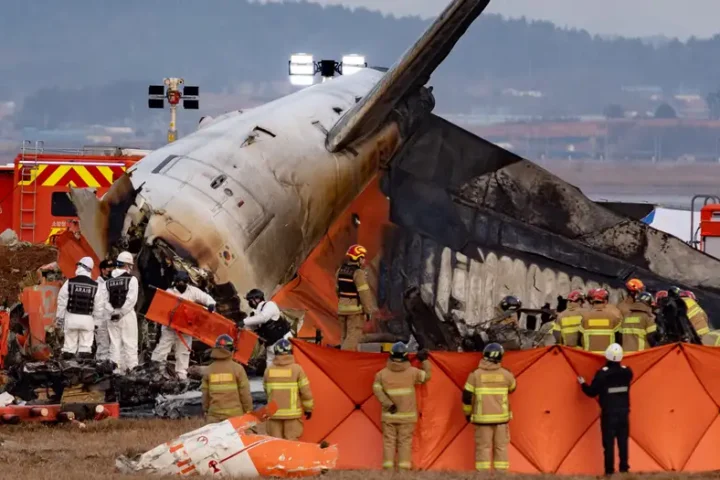 South Korea: Bird DNA found in engines of crashed Jeju jet