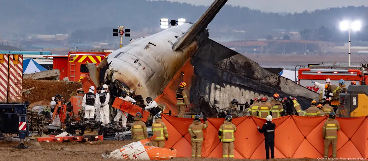 South Korea: Bird DNA found in engines of crashed Jeju jet