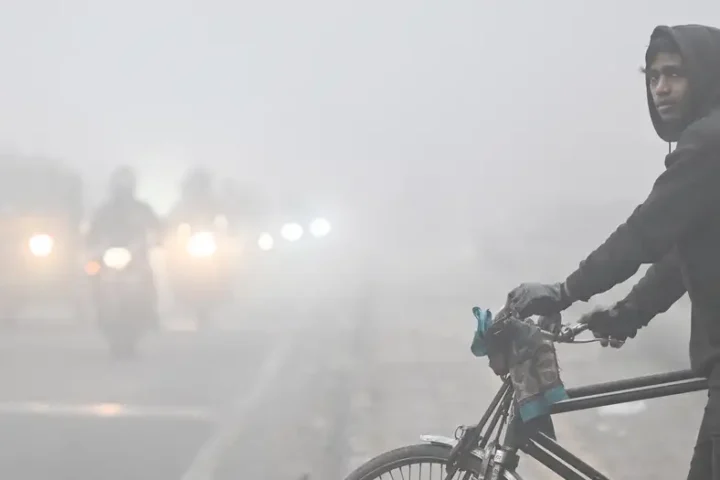 India: Thick fog brings New Delhi to a crawl