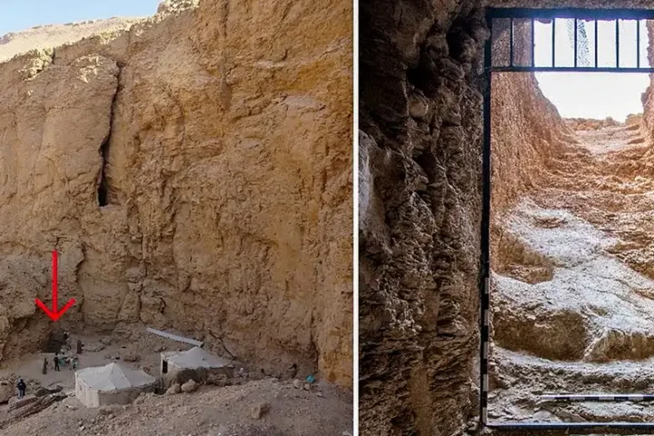 Egypt says unveils first king's tomb in over a century