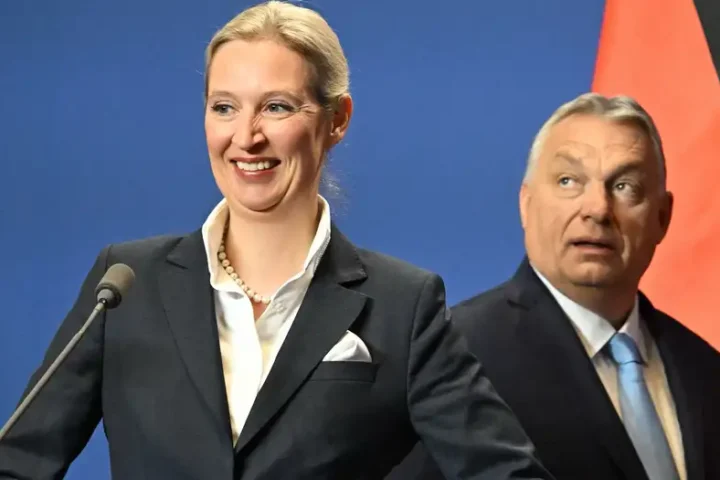 Hungary's Orban hosts Germany's AfD leader Alice Weidel