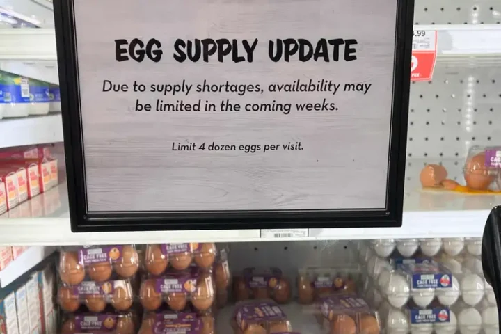 US: Police search for thieves who stole 100,000 eggs