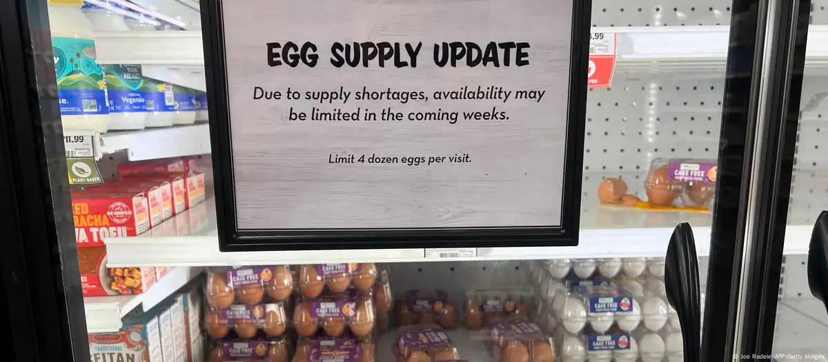 US: Police search for thieves who stole 100,000 eggs