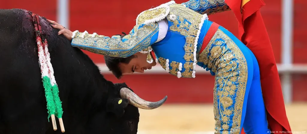 Bullfighting ban in Mexico City sparks controversy