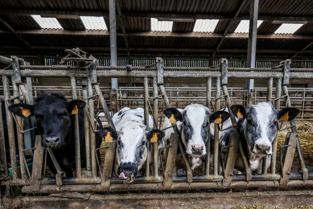 Nitrogen oxide emissions in Flanders fell by 35 per cent between 2015 and 2022