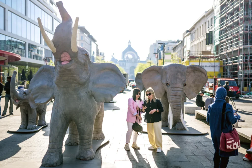 Herd of elephants appears near Antwerp Central station