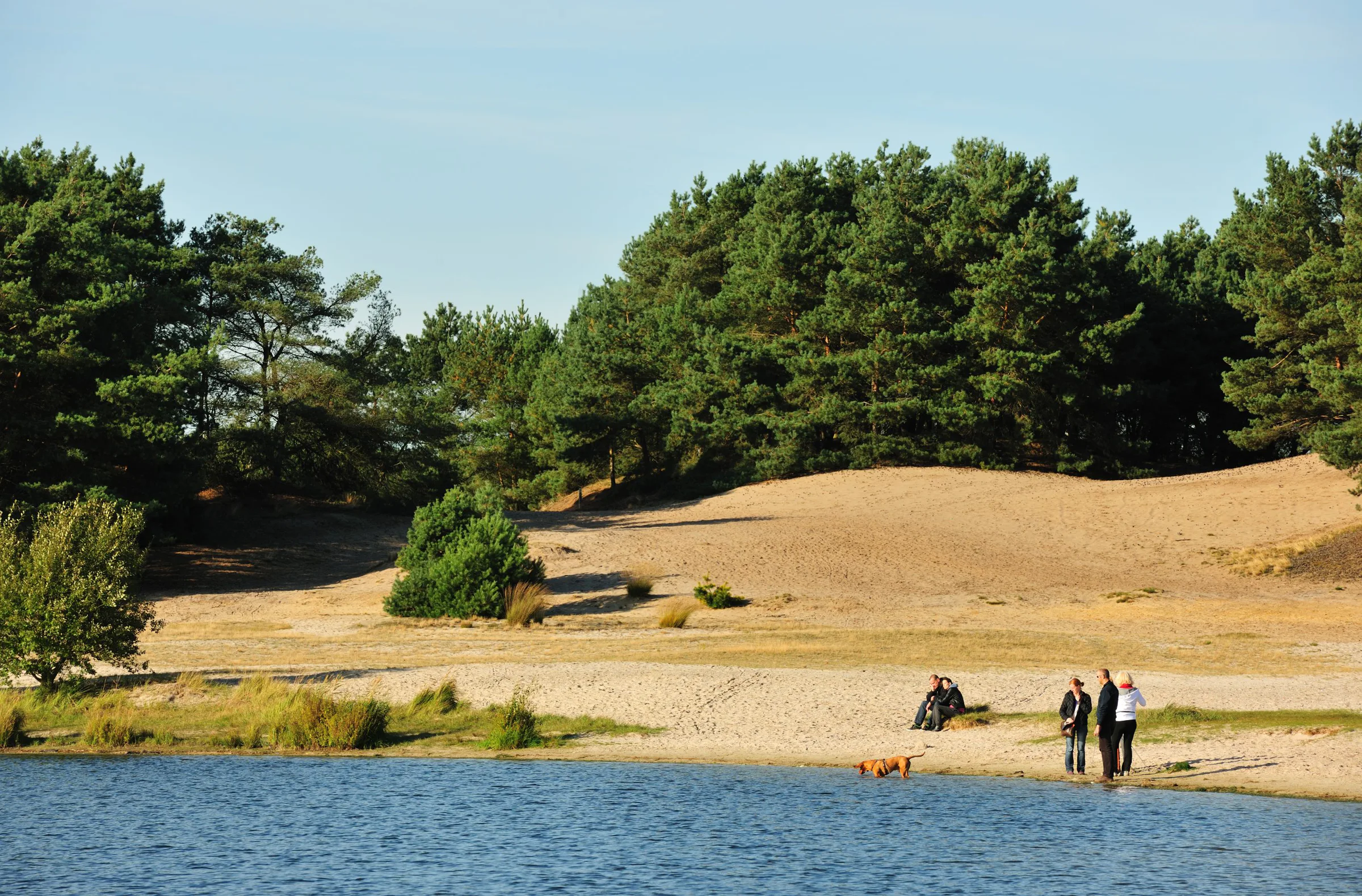 The Lommel Sahara: a landscape of sand, forest and industrial history
