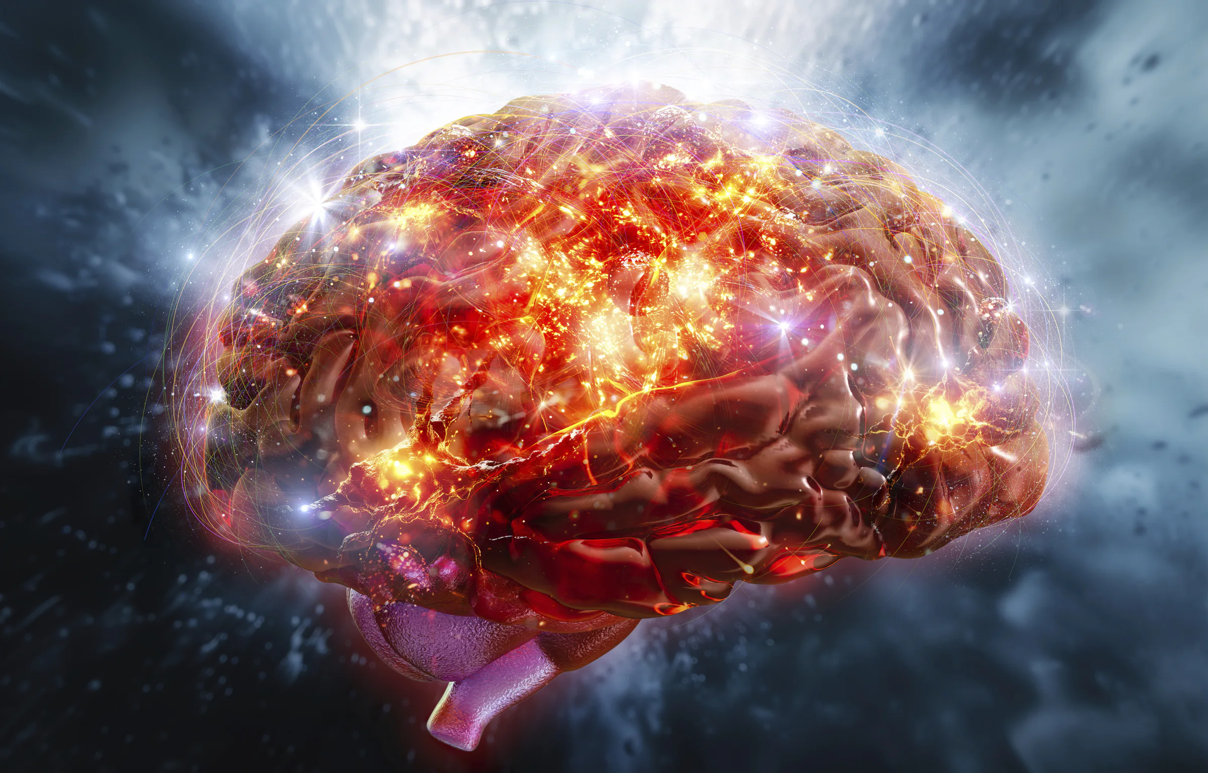 New AI hub ‘The Brain’ to open in Ghent in 2027