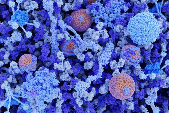 New KU Leuven spin-off targets root cause of rare bleeding disorder
