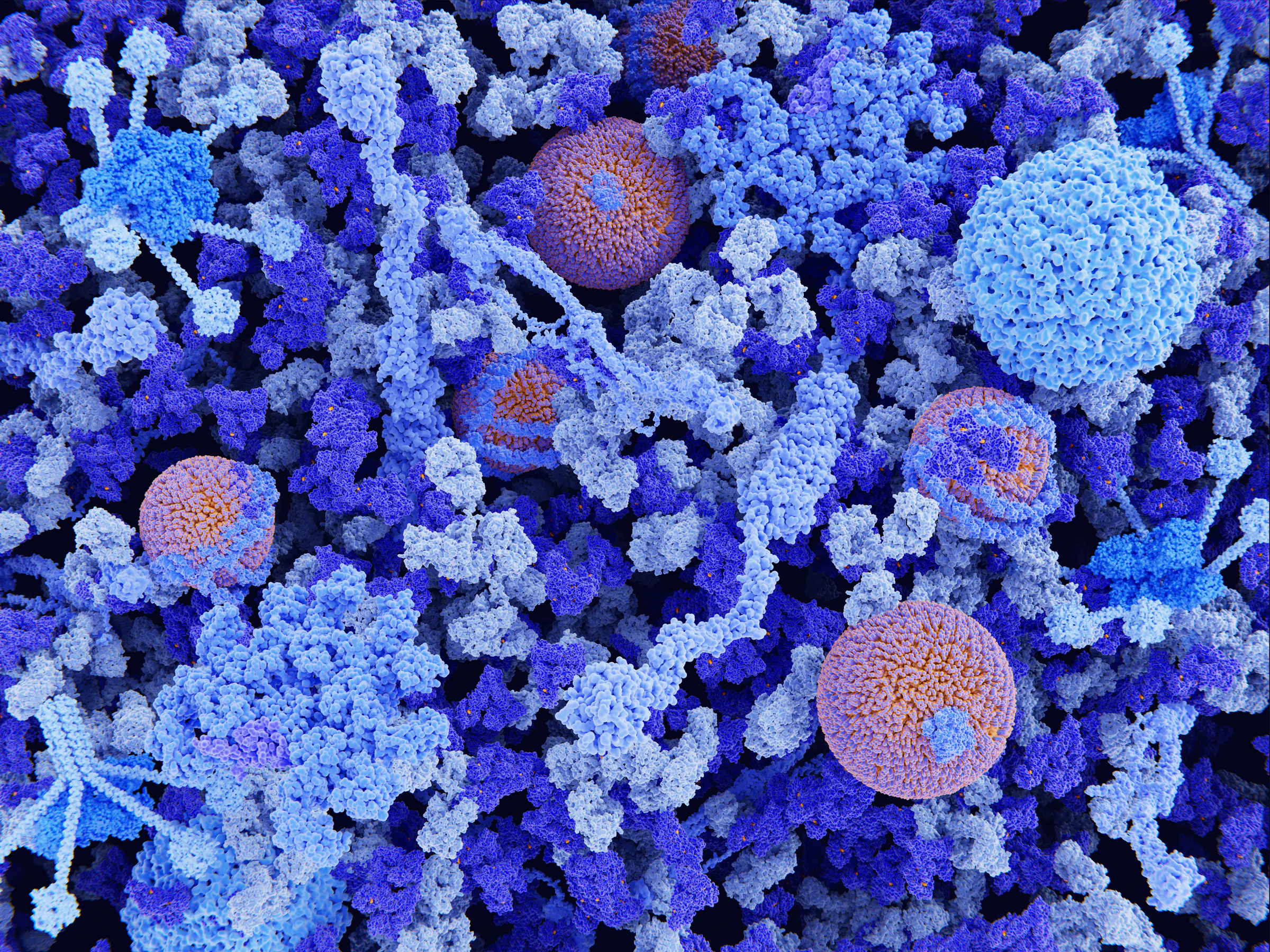 New KU Leuven spin-off targets root cause of rare bleeding disorder