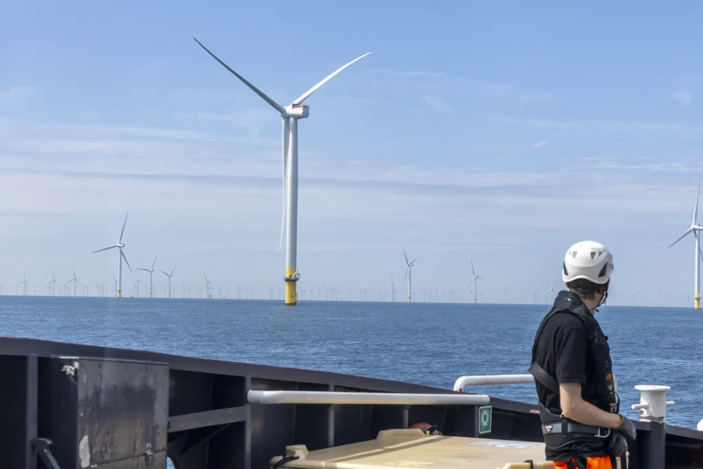 New campaign raises awareness about noise pollution in the North Sea