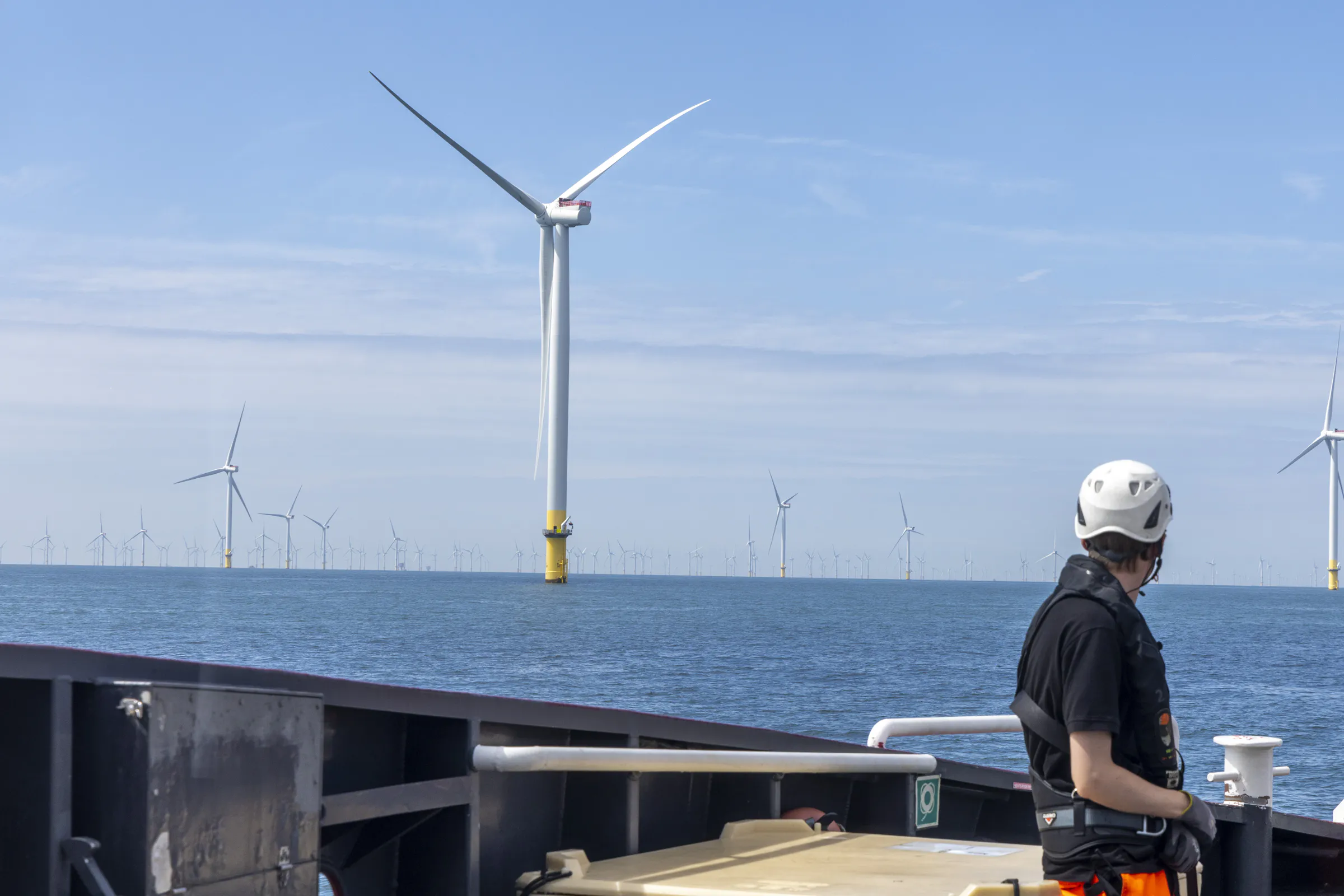 New campaign raises awareness about noise pollution in the North Sea