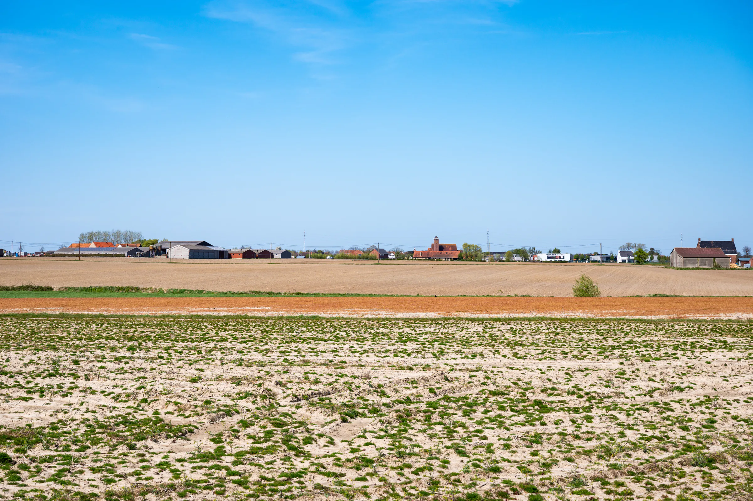 Prolonged dry spell lowers water levels in Flanders and across Europe