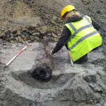 Roman wooden water pipe discovered in Leuven