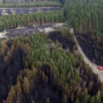 World on track for new heat record as climate disasters set to increase