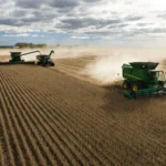 ‘It’s a critical time’: European farmers struggle through driest spring in a century