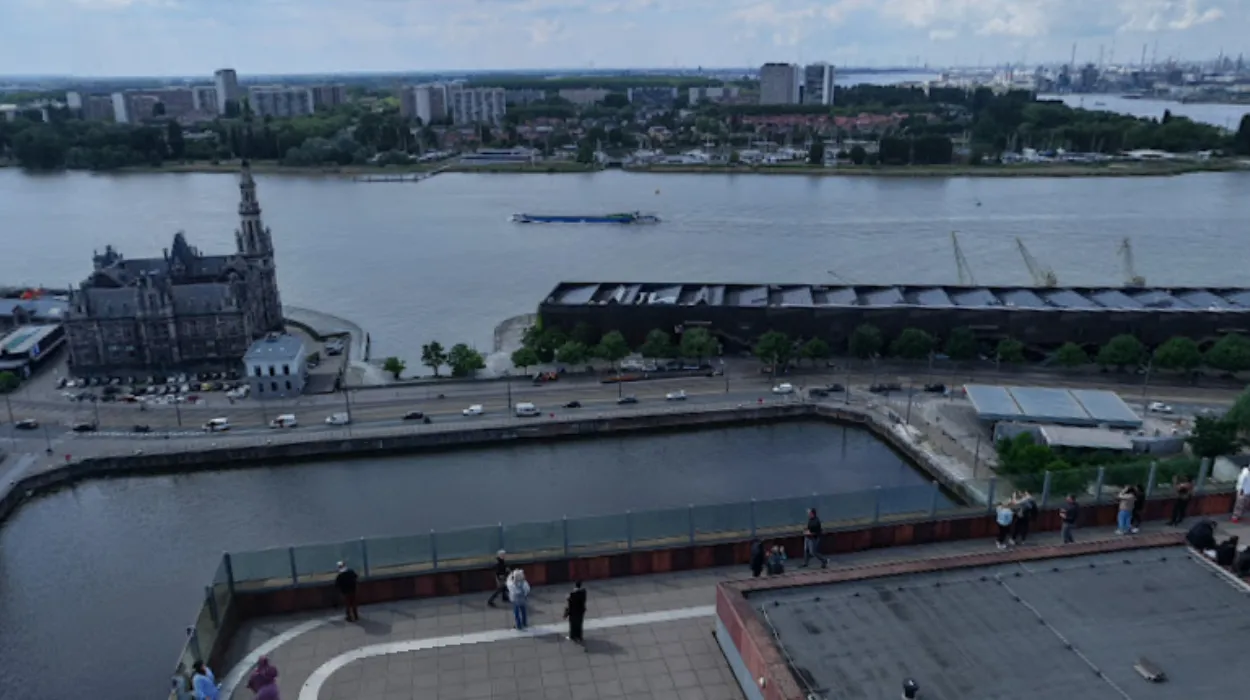 Antwerp offers free swimming at Bonapartedok near MAS