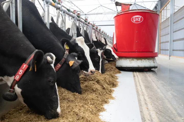 Arla and DMK take first step towards merger to form Europe’s largest dairy cooperative
