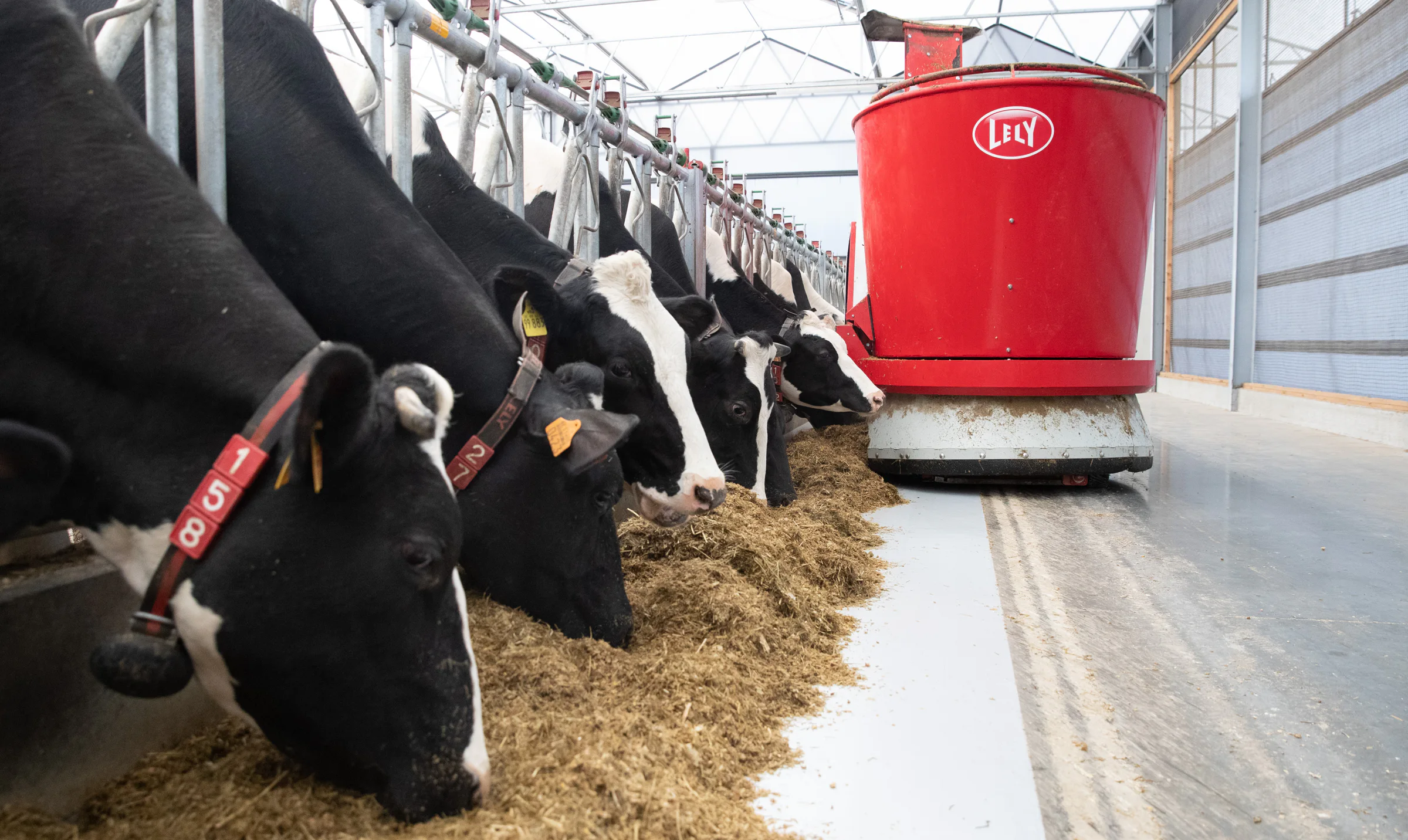 Arla and DMK take first step towards merger to form Europe’s largest dairy cooperative