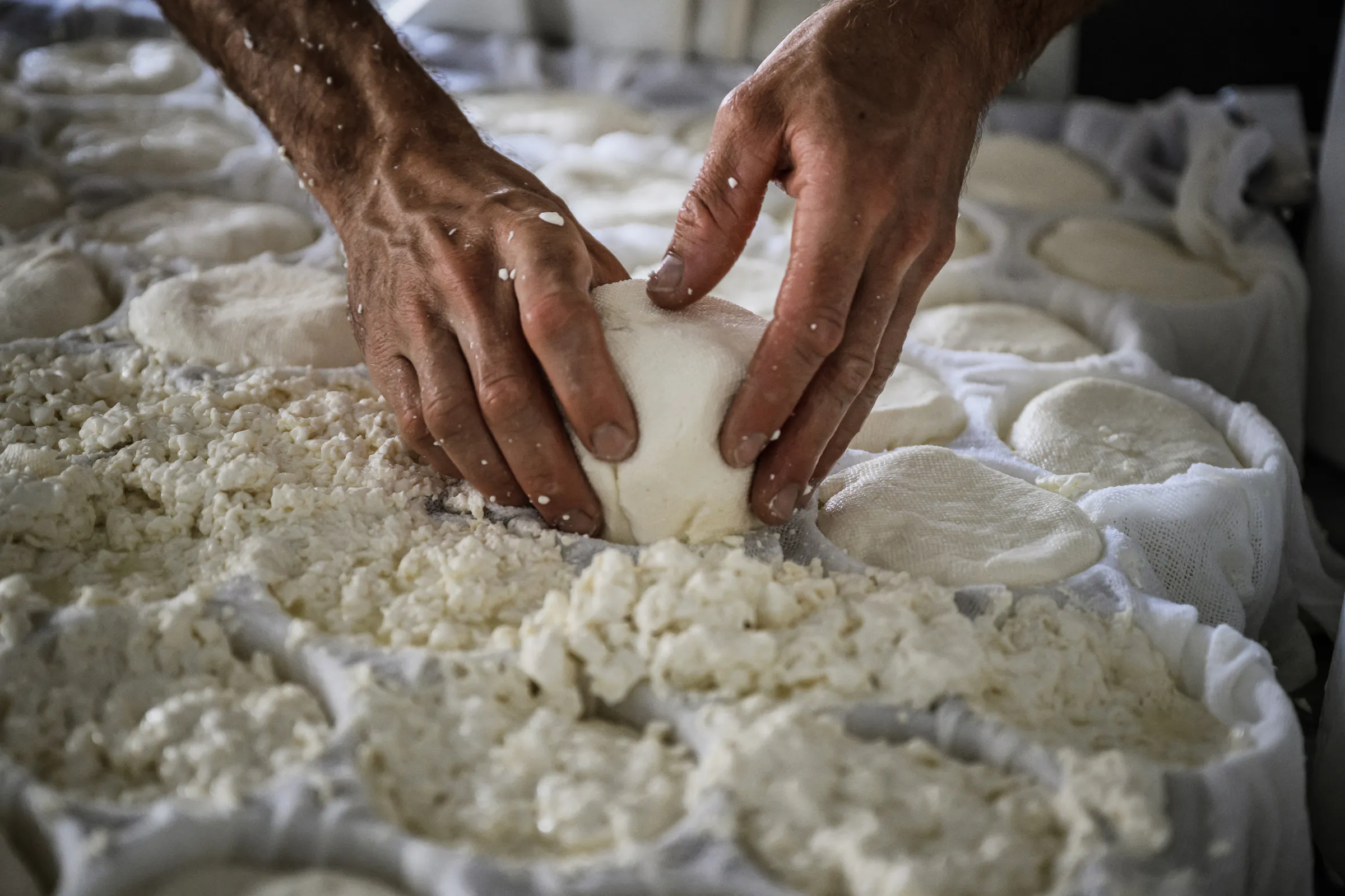 More than 450 companies temporarily closed over food safety violations