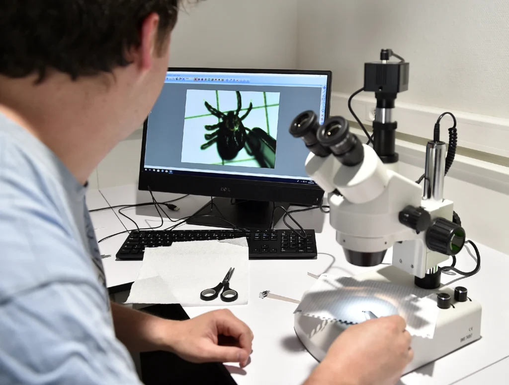 One in five garden ticks carries lyme disease bacteria, study finds