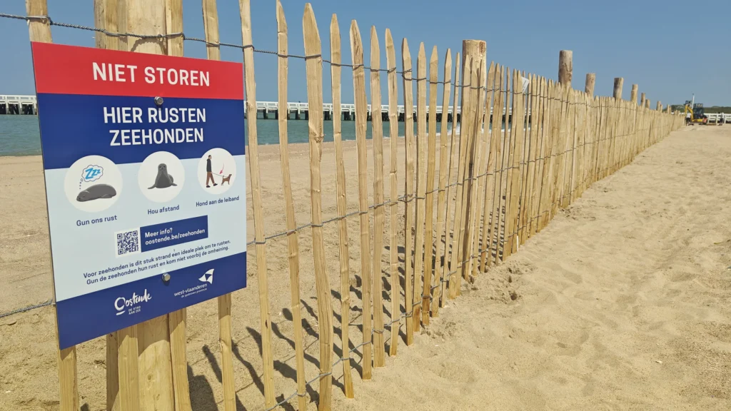 Ostend sets up first protection zone for seals on the coast