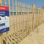 Ostend sets up first protection zone for seals on the coast