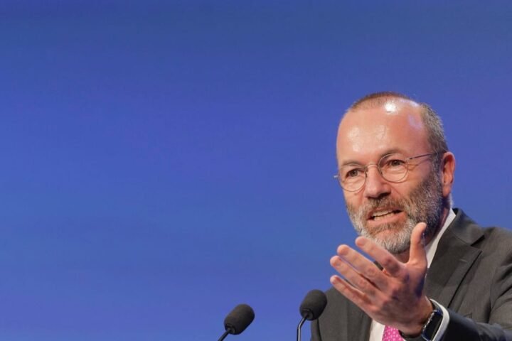 EU's Weber criticizes European left for greenwashing dispute