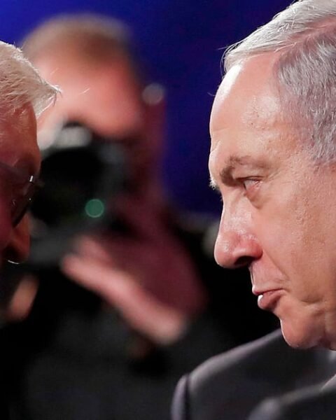 German president warns Berlin against testing international law in relation to Netanyahu