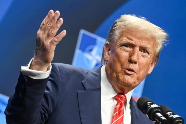 Lithuanian president warns that UK-style deal is the best EU can expect from Trump