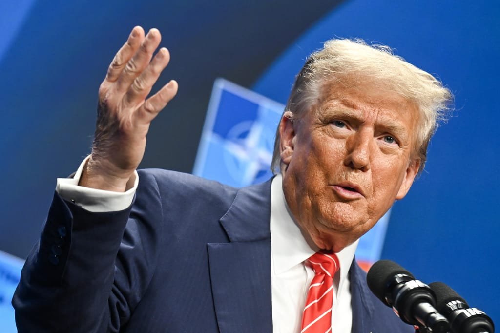 Lithuanian president warns that UK-style deal is the best EU can expect from Trump