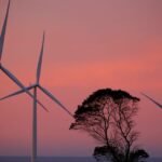 Next EU climate target permits carbon offsets starting in 2036, draft reveals
