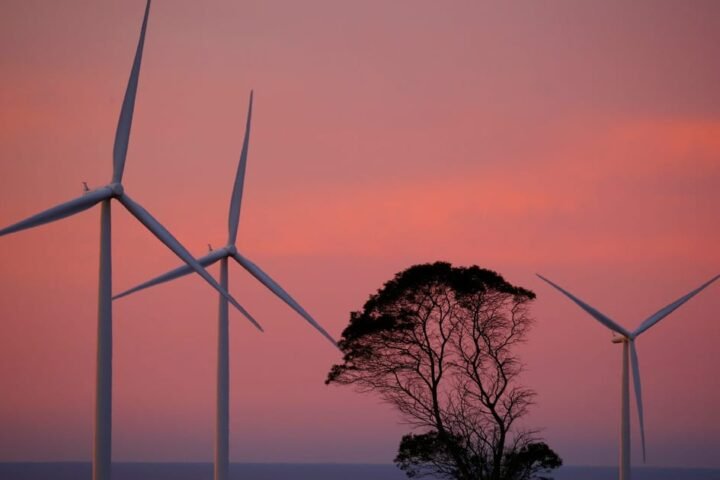 Next EU climate target permits carbon offsets starting in 2036, draft reveals