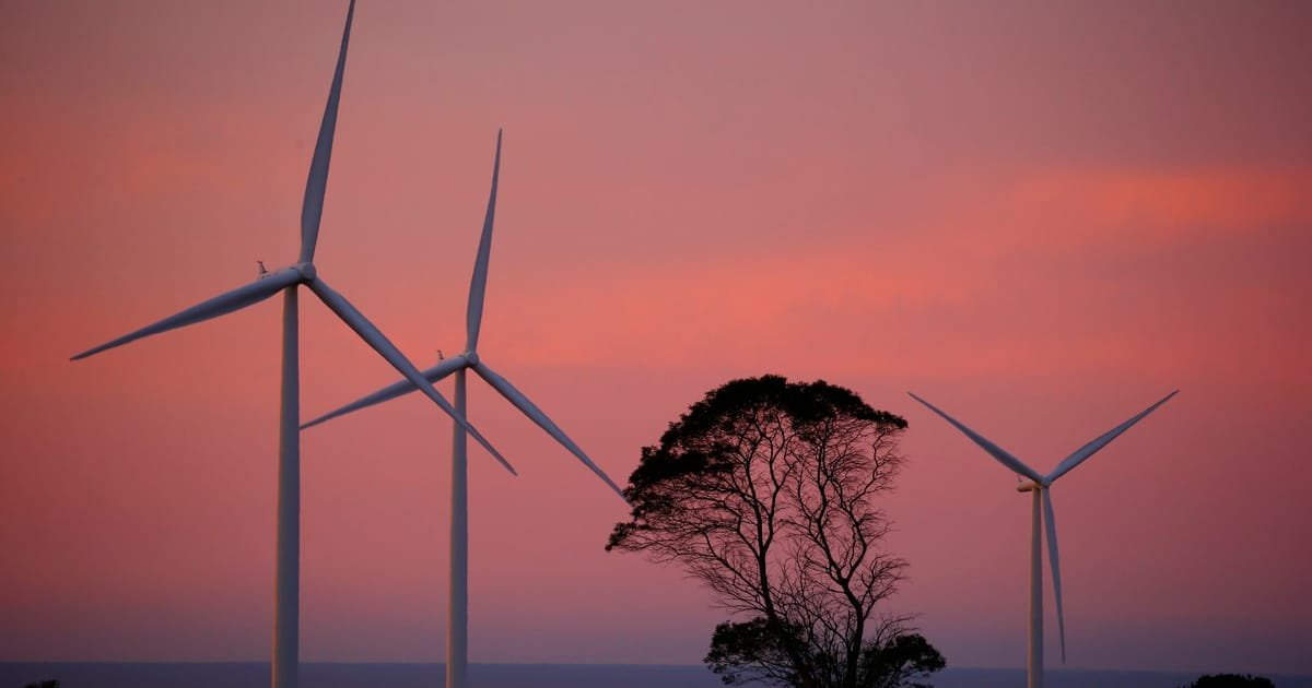 Next EU climate target permits carbon offsets starting in 2036, draft reveals