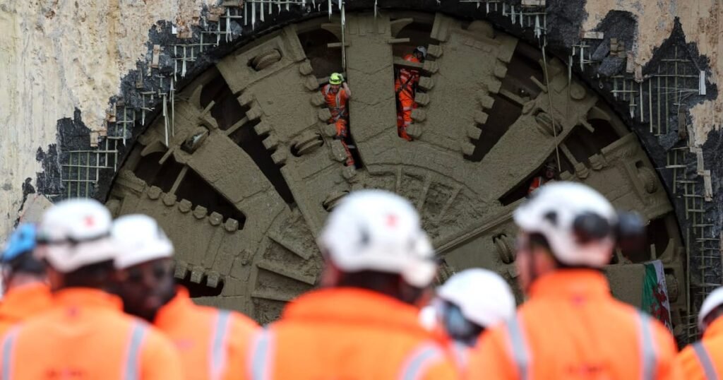 UK government criticizes £125 million 'bat tunnel' as 'ludicrous'