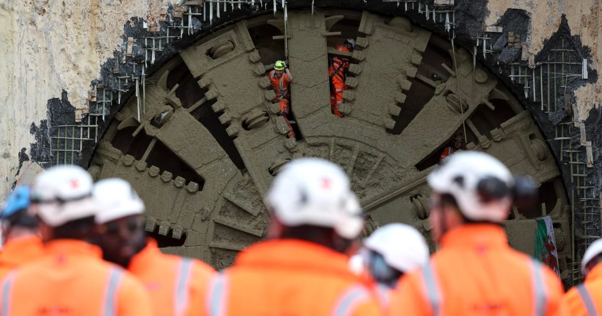 UK government criticizes £125 million 'bat tunnel' as 'ludicrous'