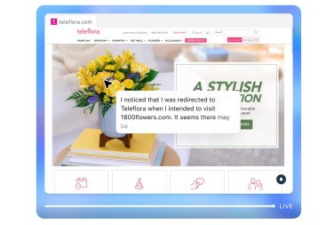 ChatGPT Agent assists with online shopping tasks