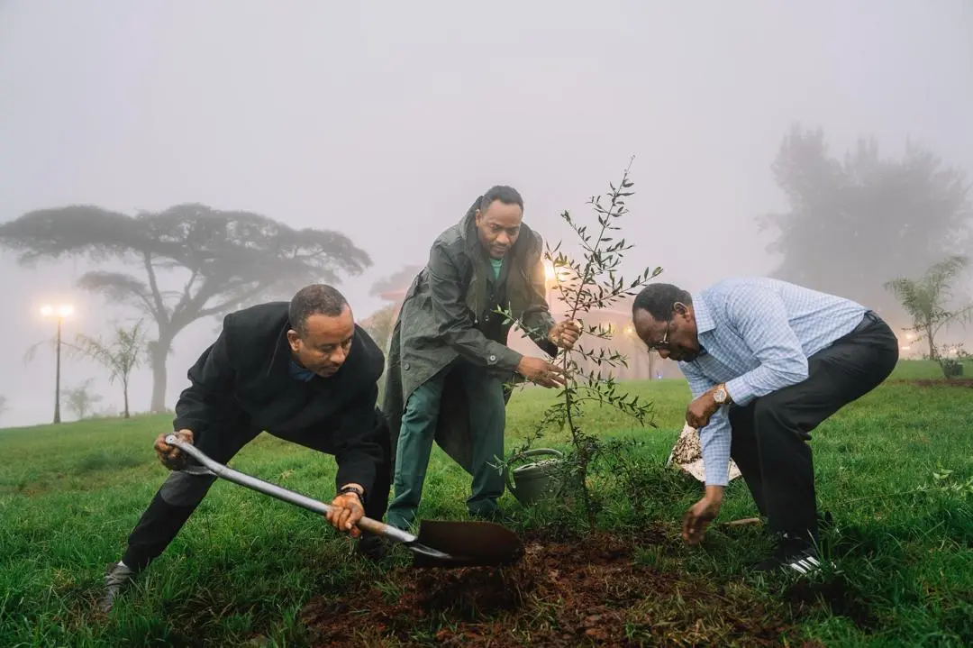 Ethiopia aims to plant 700 million trees in one day as part of Green Legacy Initiative