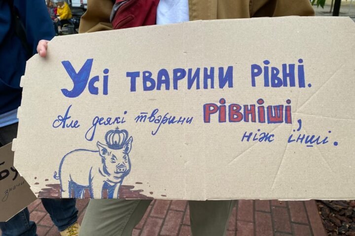 Inside Ukraine's cardboard revolution