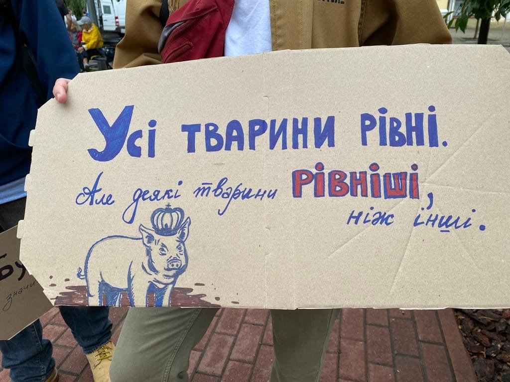 Inside Ukraine's cardboard revolution
