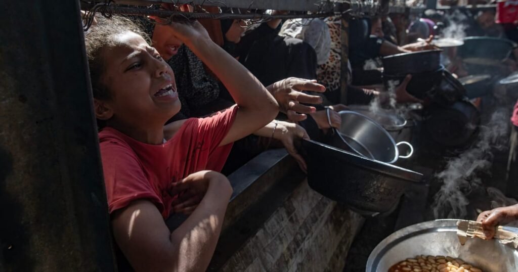 Israel suspends military operations at Gaza aid locations amid rising starvation and casualties