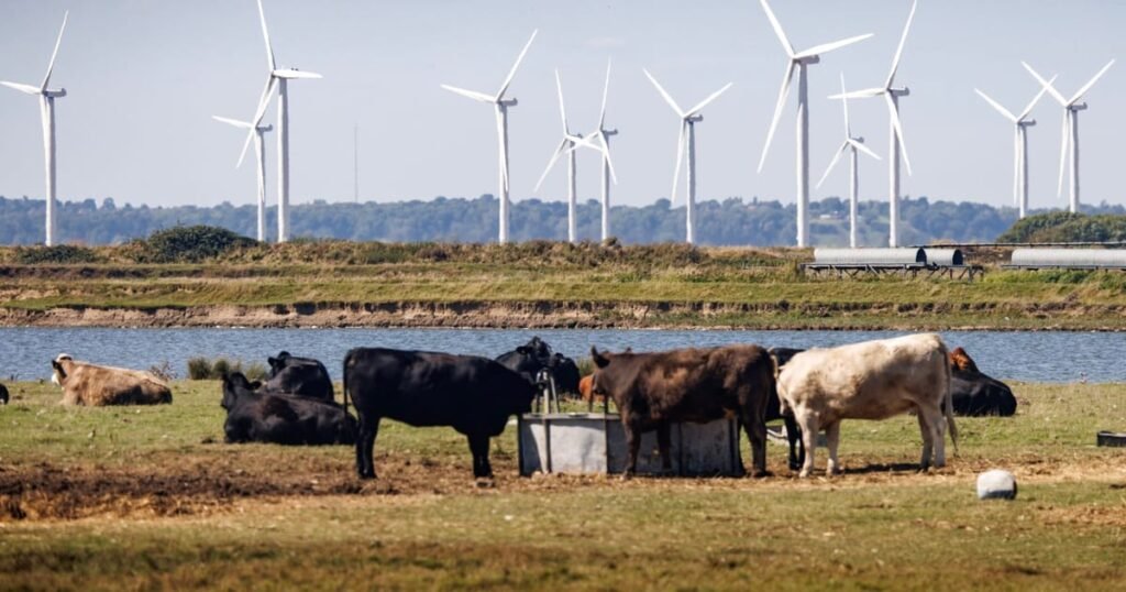 UK seeks to maintain animal welfare standards in Brexit negotiations