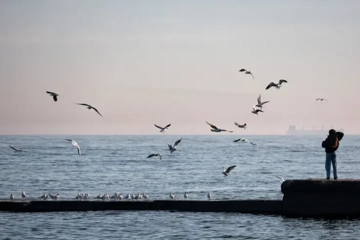 Zelensky announces no Russian landing troops in Odesa